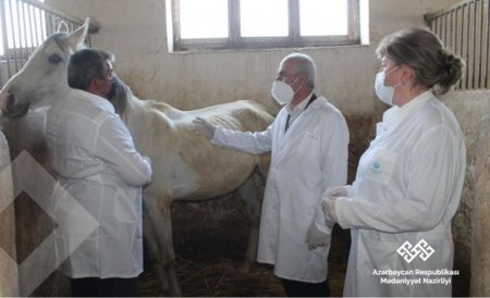 Mədəniyyət Nazirliyindən Şəkidəki Atçılıq Mərkəzi ilə bağlı AÇIQLAMA - FOTO