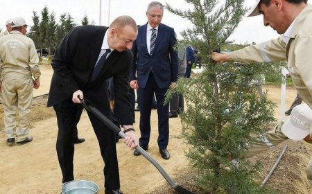 İlham Əliyev Ağdam şəhər meşə-parkında ağac əkilməsi mərasimində iştirak edib