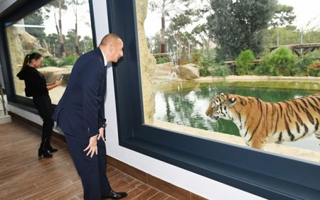 Prezidentlə ailəsi zooparkın açılışında - Fotolar