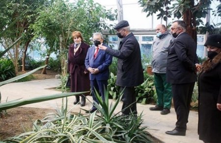 Ramiz Mehdiyev ələ keçirdiyi Nəbatat bağı ilə yerindəcə tanış oldu — Gerçək məqsədi haqda ŞOK DETALLAR